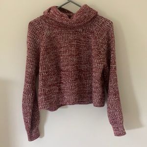 Slightly Cropped Plum Knit Turtleneck